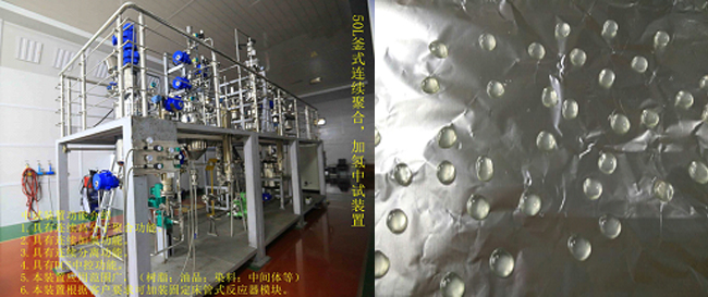 祝賀國內(nèi)首套釜式連續(xù)加氫中試成套裝置一次出料成功！.jpg